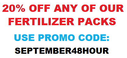 1day-sale-e.png 1day-sale-e.png