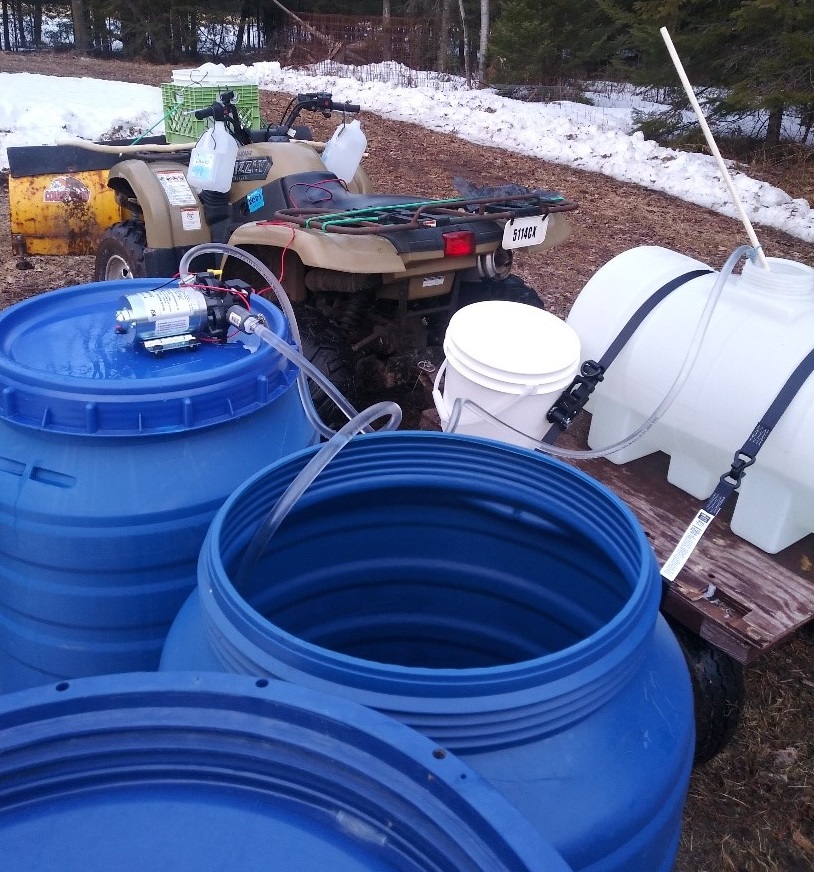 Making Maple Syrup Beat Your Neighbor