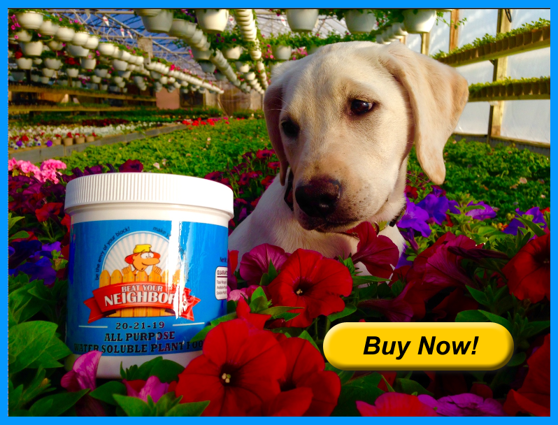 zoey-greenhouse-1a.png zoey-greenhouse-1a.png